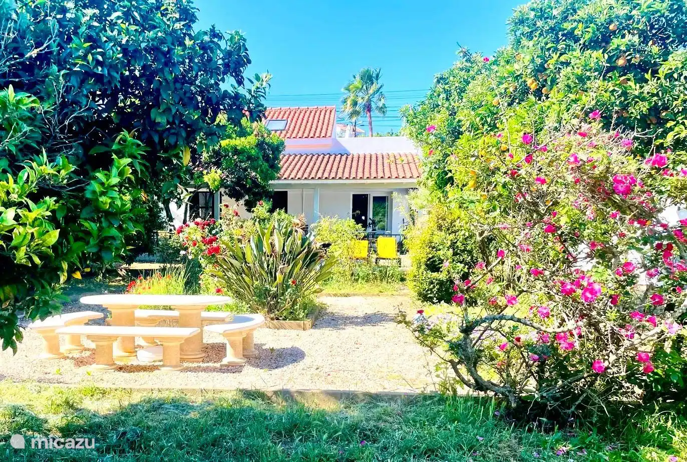 Comprar una casa de campo en Portugal, Algarve, Odiaxere - Casa Azenha