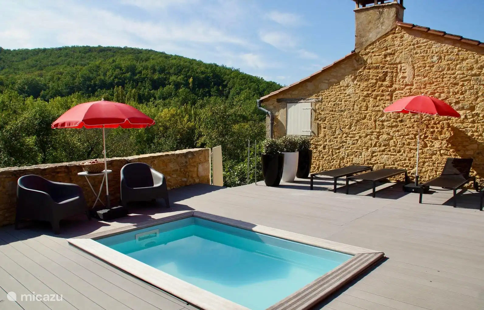 vakantiehuis kopen in Tarn-et-Garonne, Frankrijk – La Treille Haute