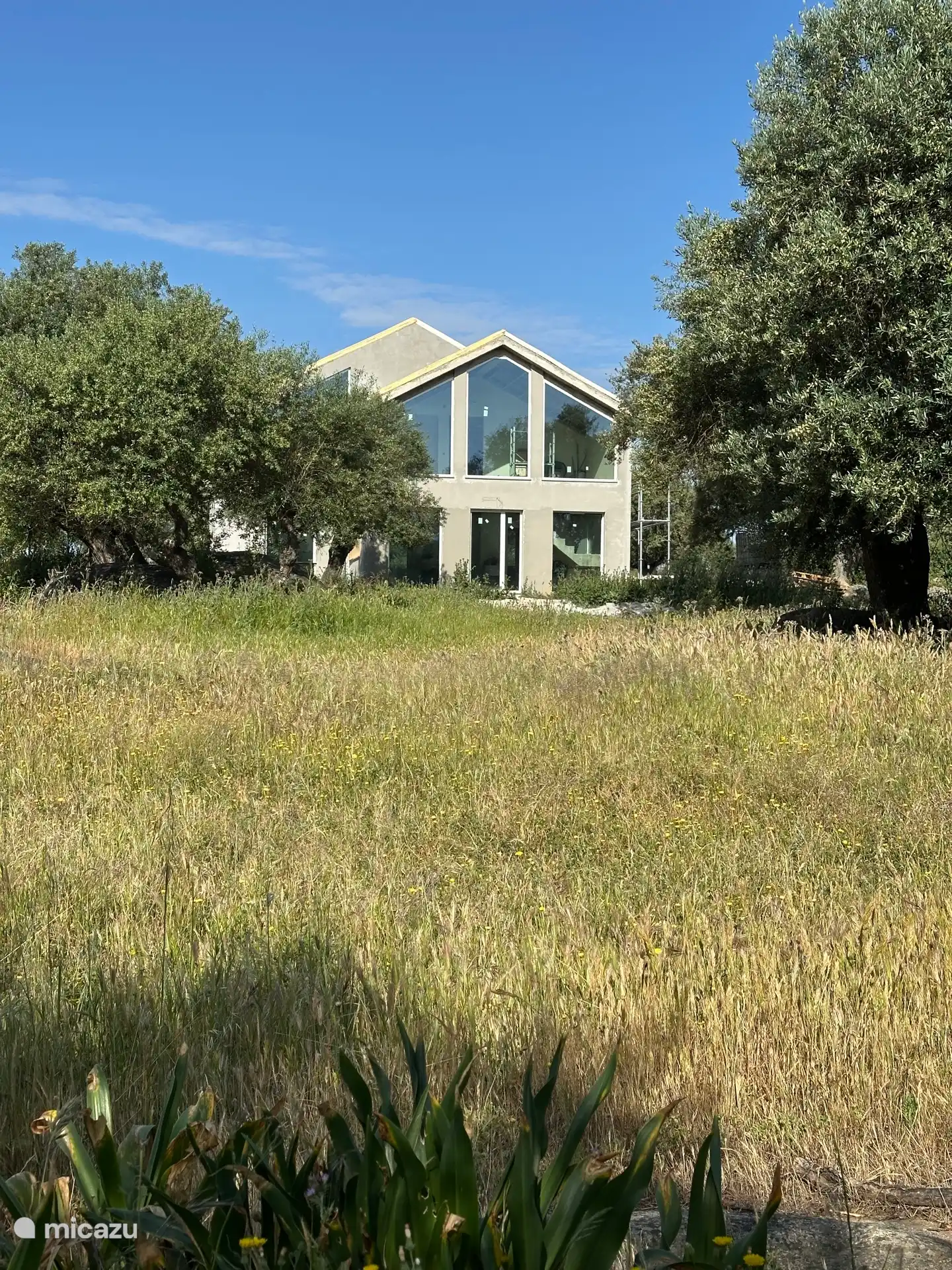 Villa among the greenery
