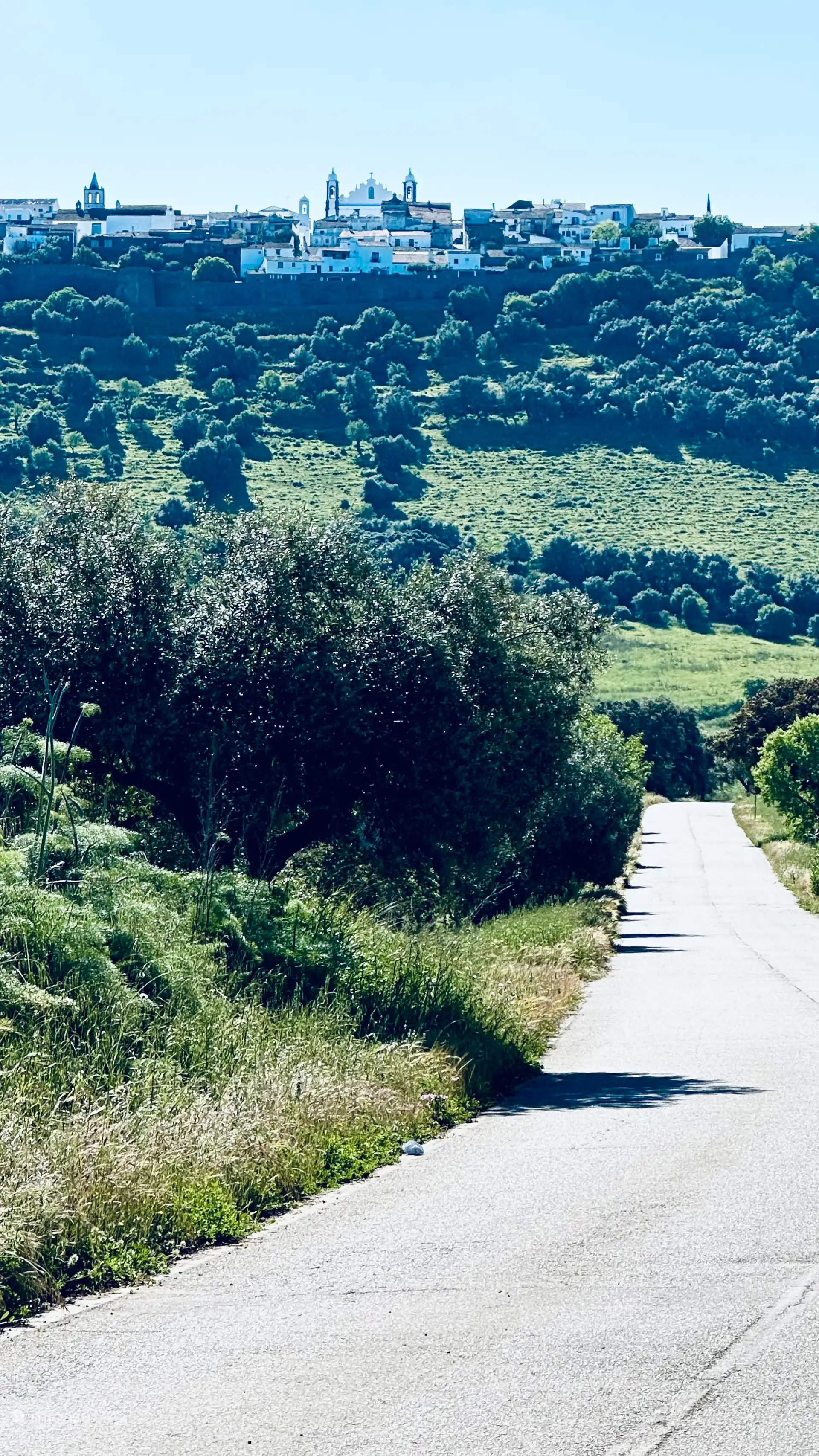Through rural greenery, peace and space to your Villa 
