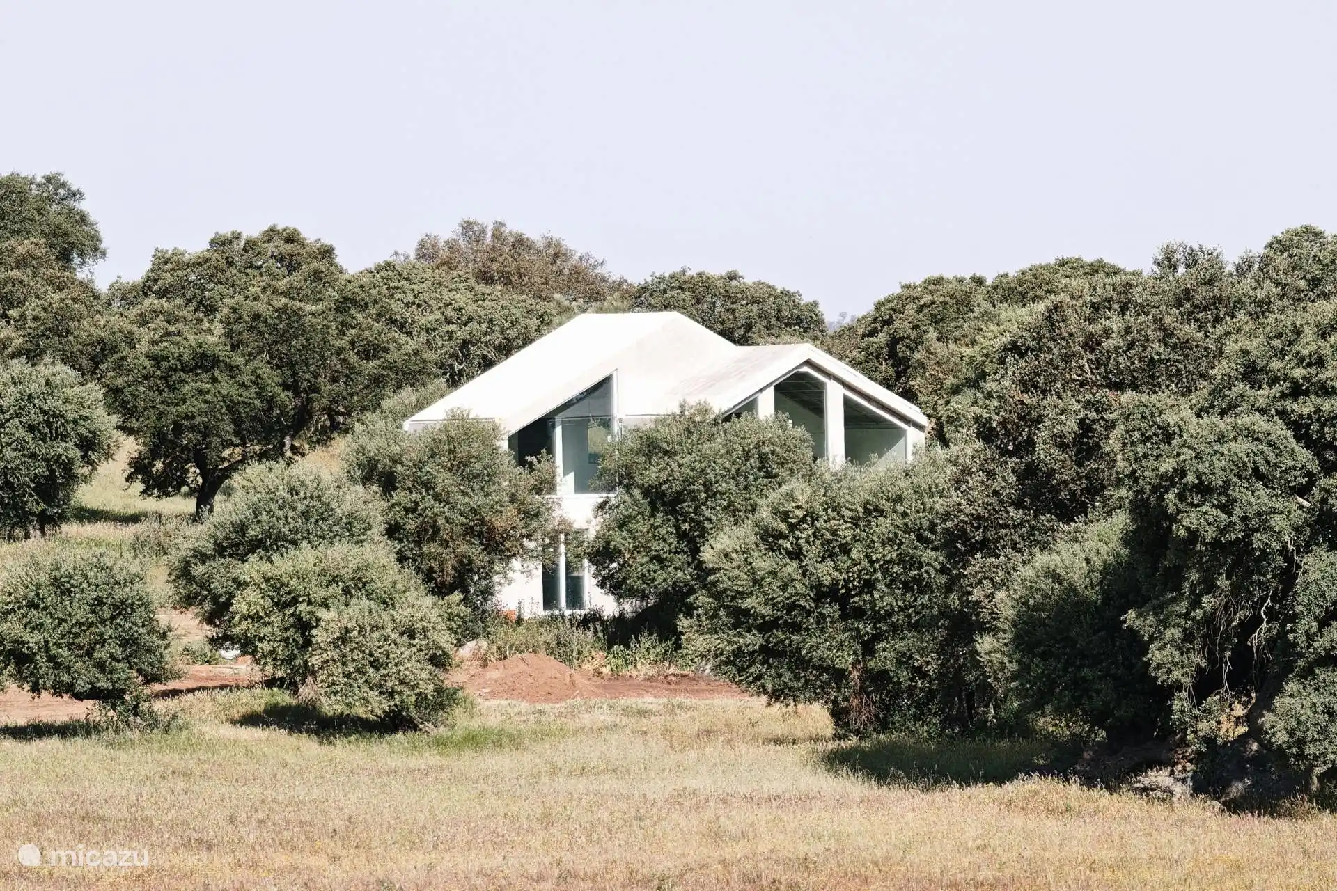 Front between the olive trees