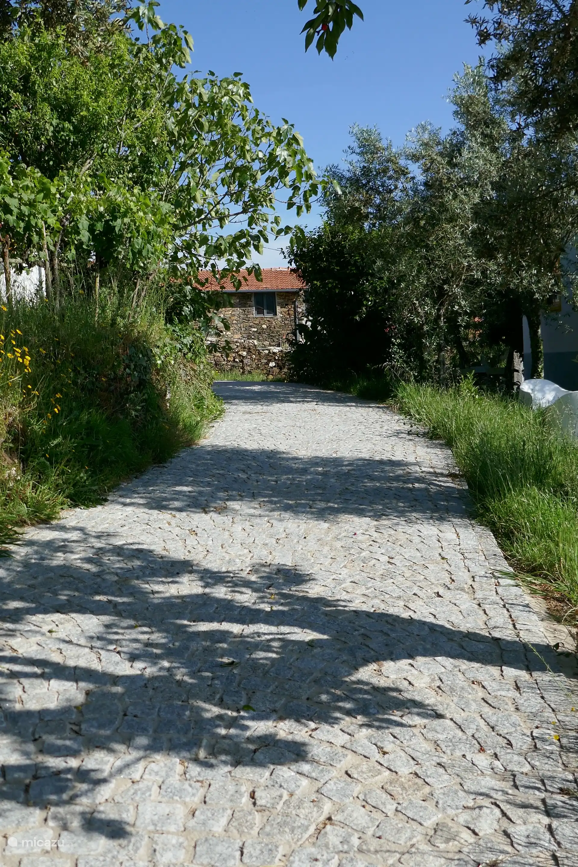 Parking on site