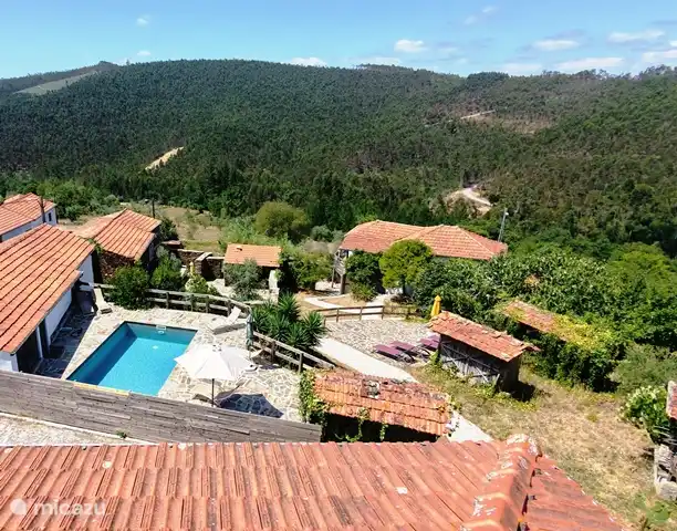 The grounds with swimming pool and terraces