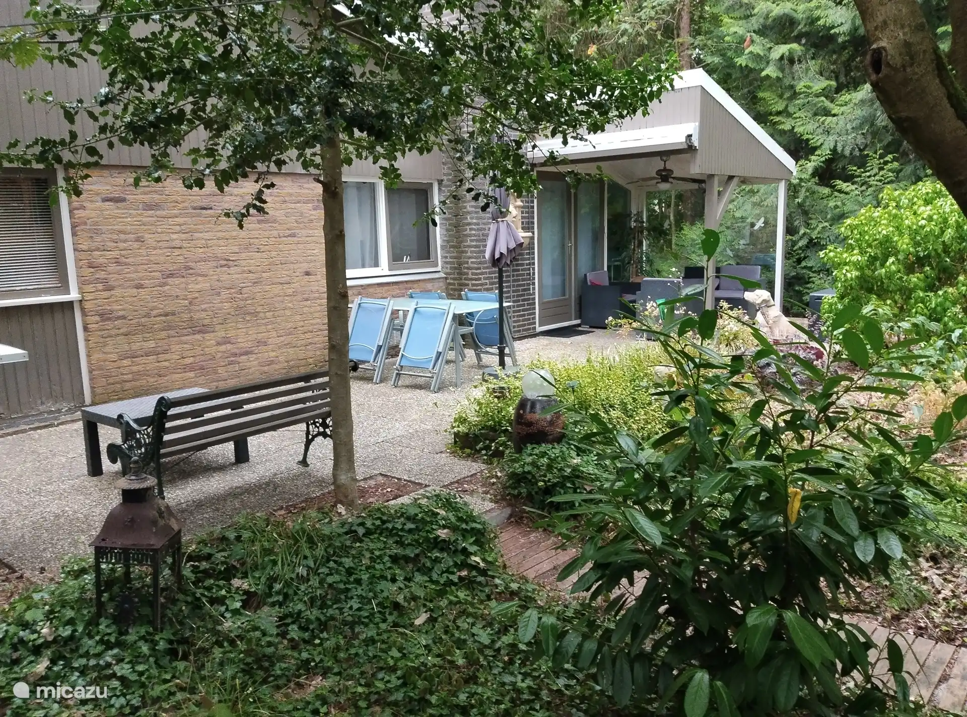 Acheter une location de vacances | Pays-Bas, bungalow - Boslust in Rheezerveen