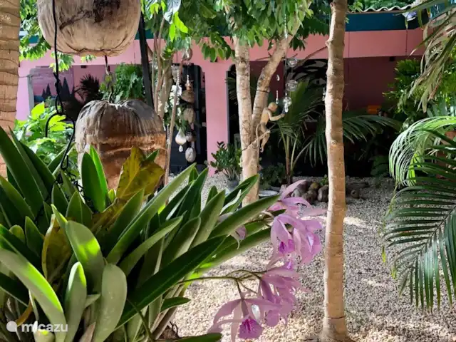 mini boutique resort met 7 studios kopen in Curaçao, Banda Abou (west), Grote Berg - bed & breakfast