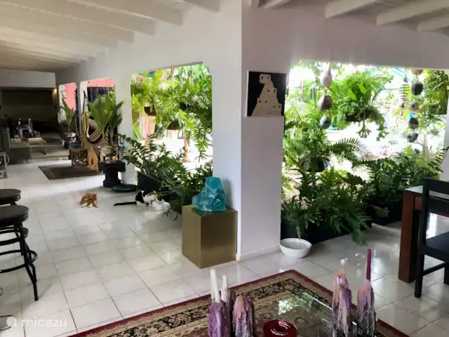 mini boutique resort met 7 studios kopen in Curaçao, Banda Abou (west), Grote Berg - bed & breakfast