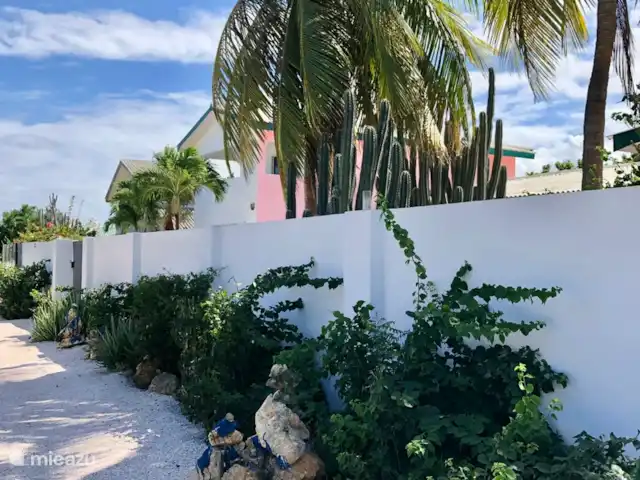 mini boutique resort met 7 studios kopen in Curaçao, Banda Abou (west), Grote Berg - bed & breakfast