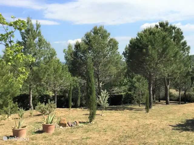 Acheter une villa | France, Hérault, Montouliers - Villa Aquamarin ***** Jardin côté Est