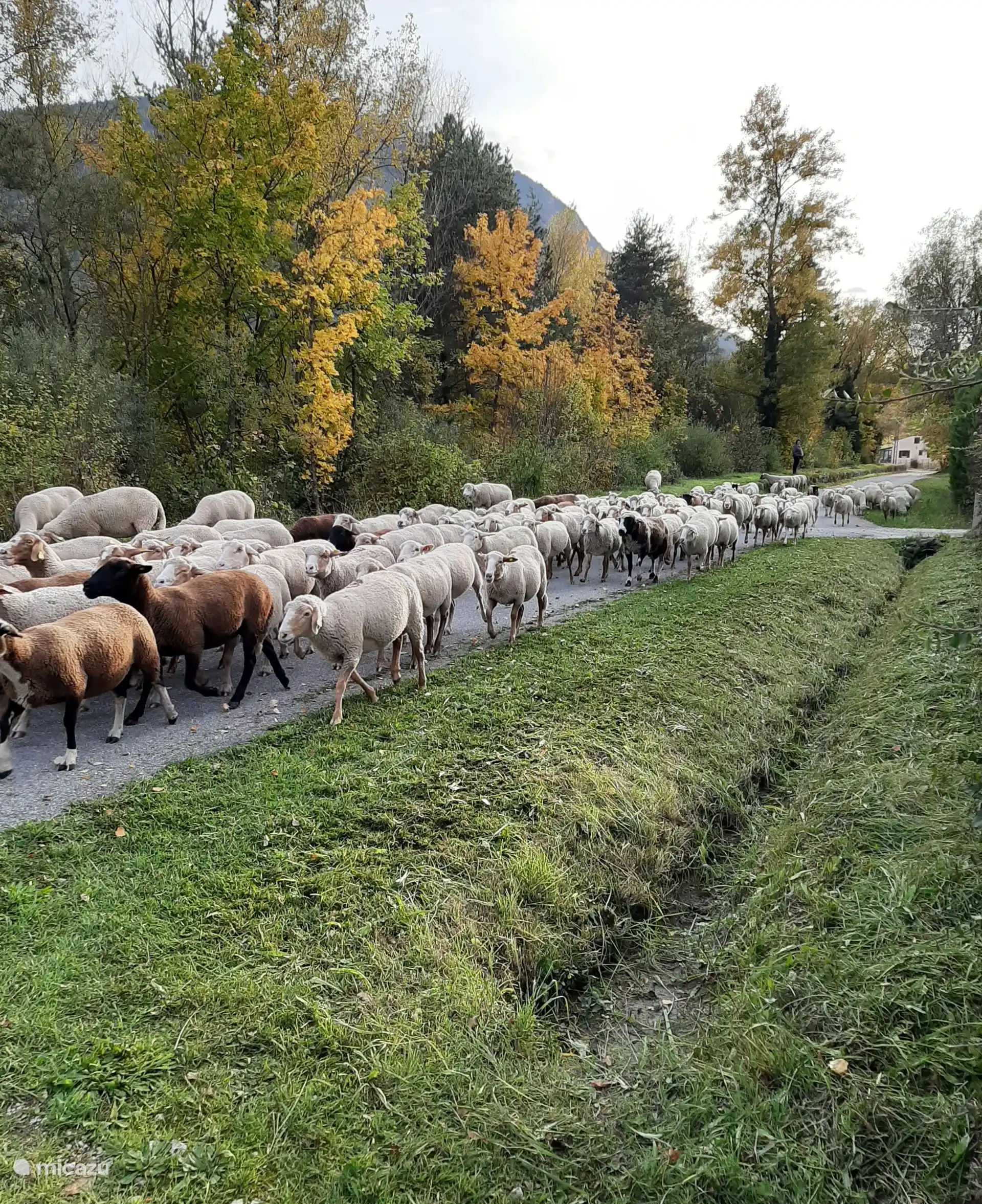 Chemin de la Barricade
