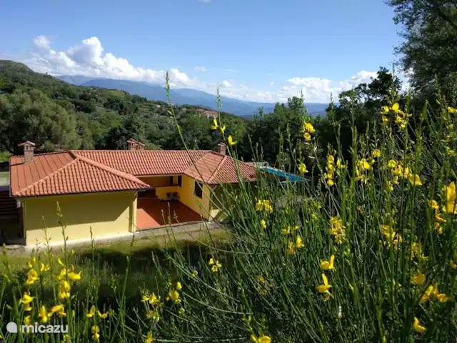 Campaniacasa kopen in Italië, Campanië, San Giovanni a Piro - vakantiehuis