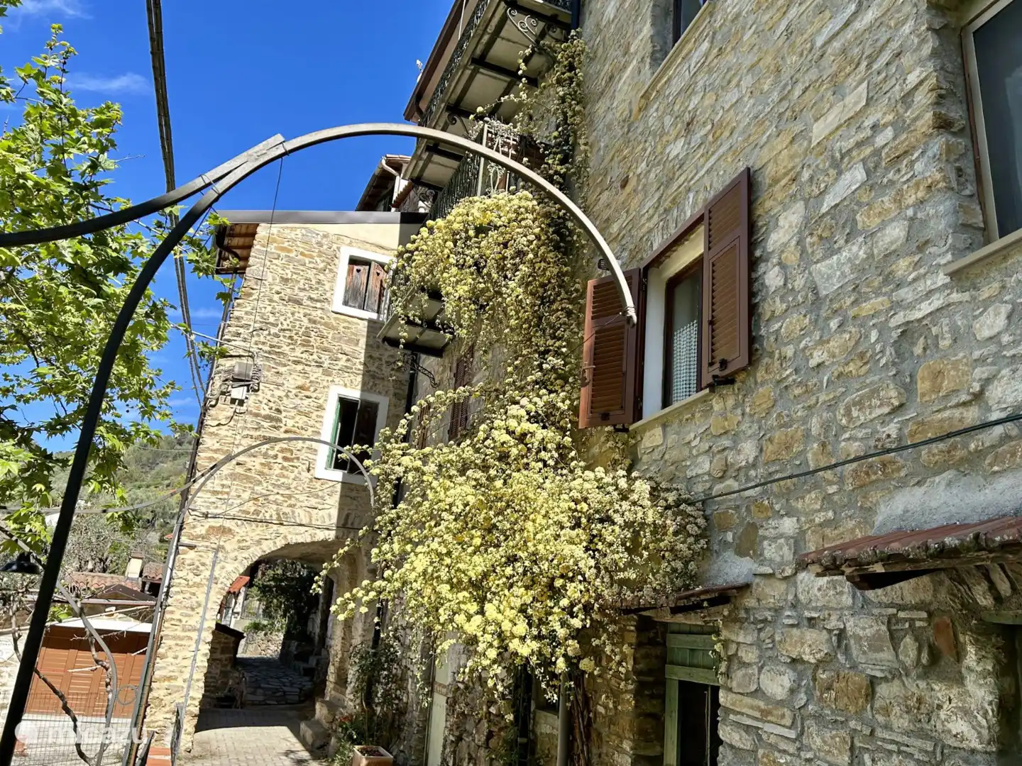 Gästezimmerfenster rechts vom Rosenstrauch