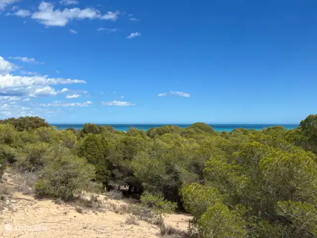 Comprar una apartamento en España, Costa Blanca, Guardamar del Segura - Residencia Dama de Guardamar