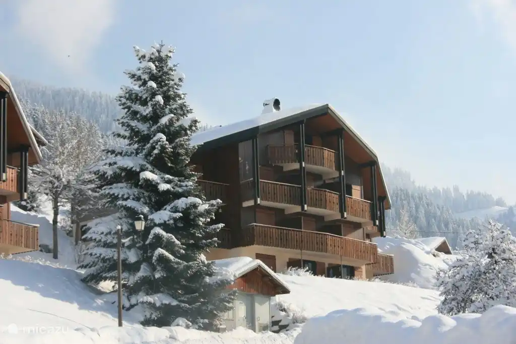 Telemark3 kopen in Frankrijk, Haute-Savoie, La Chapelle-d'Abondance - studio