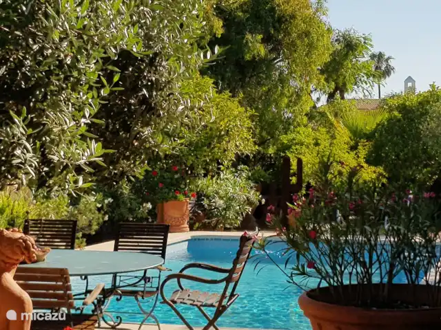 Comprar una villa en España, Costa Blanca, Alfáz del Pi - Villa Naranjo Piscina de asientos