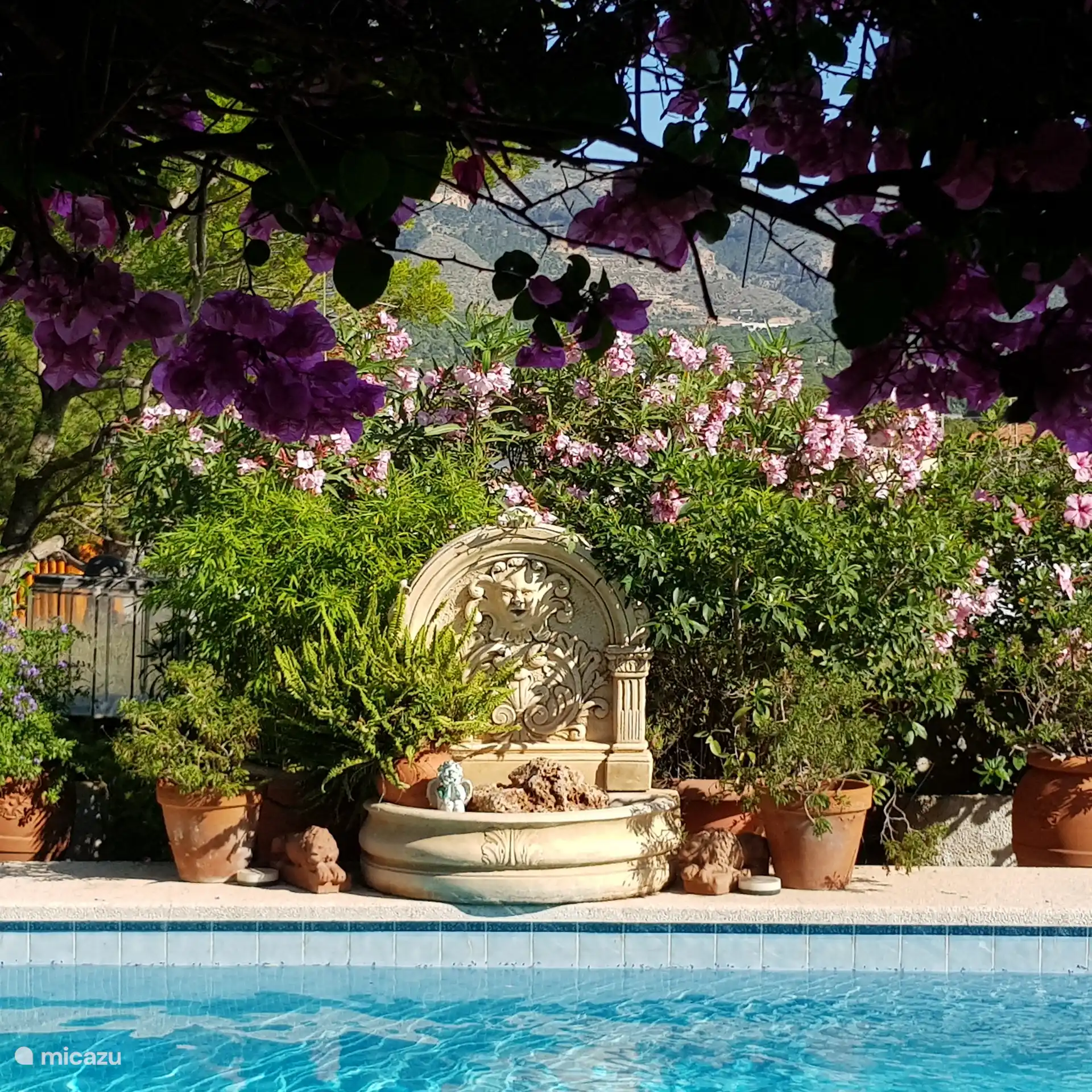 Blick vom Patio auf den Pool