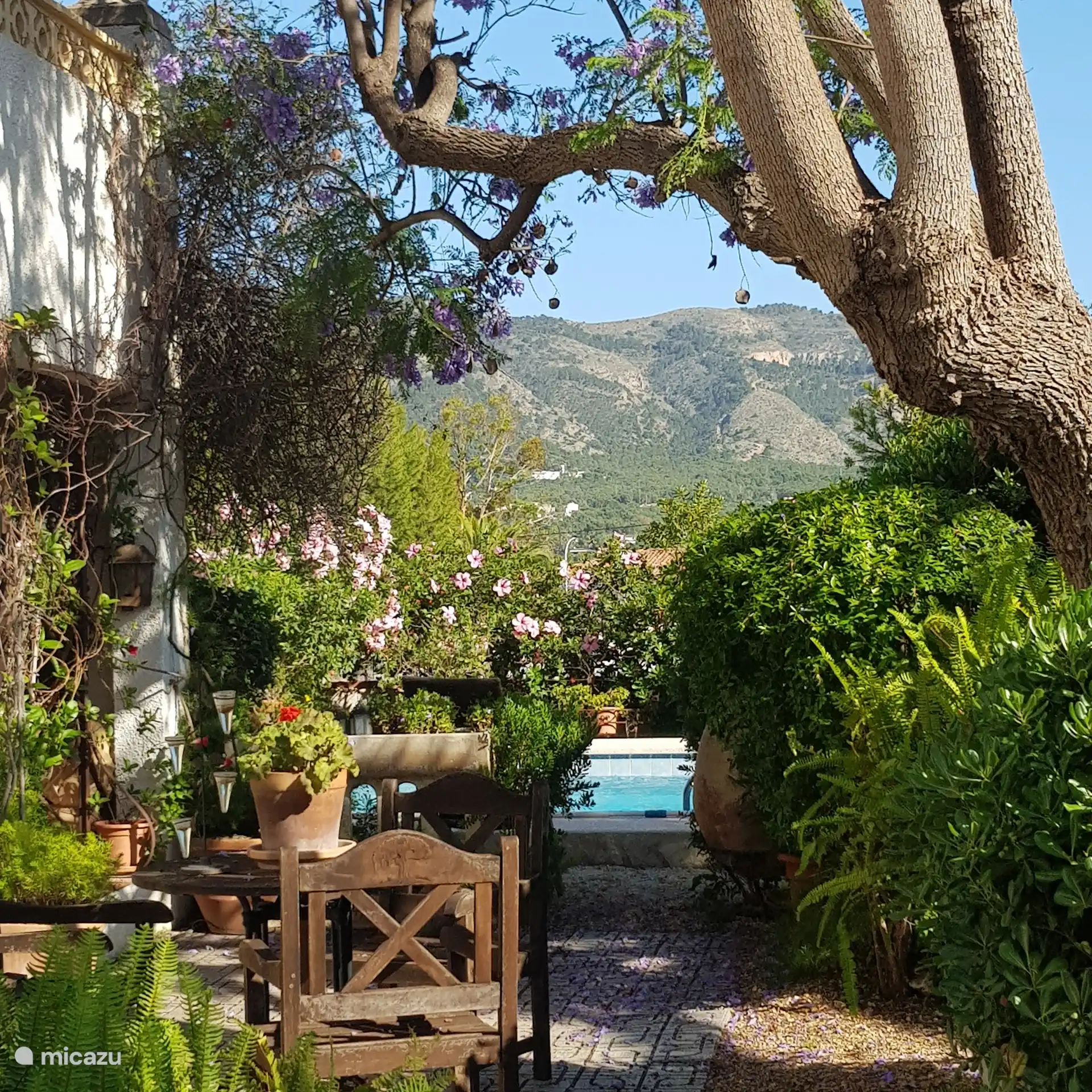 Blick vom Garten auf den Pool