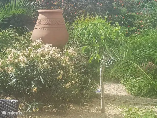 Comprar una villa en España, Costa Blanca, Alfáz del Pi - Villa Naranjo Jardín