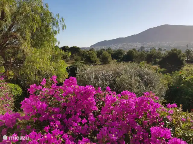 Comprar una villa en España, Costa Blanca, Alfáz del Pi - Villa Naranjo Vista desde el balcón