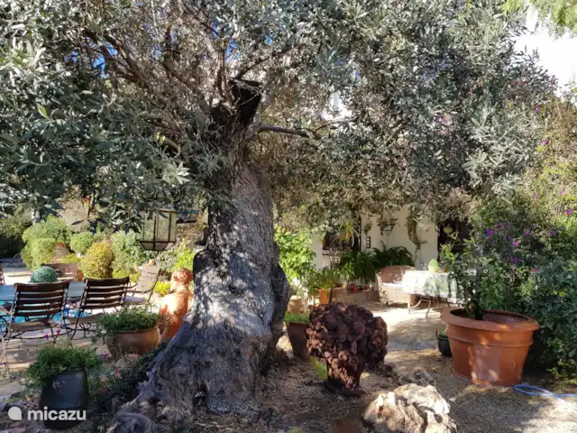 Comprar una villa en España, Costa Blanca, Alfáz del Pi - Villa Naranjo