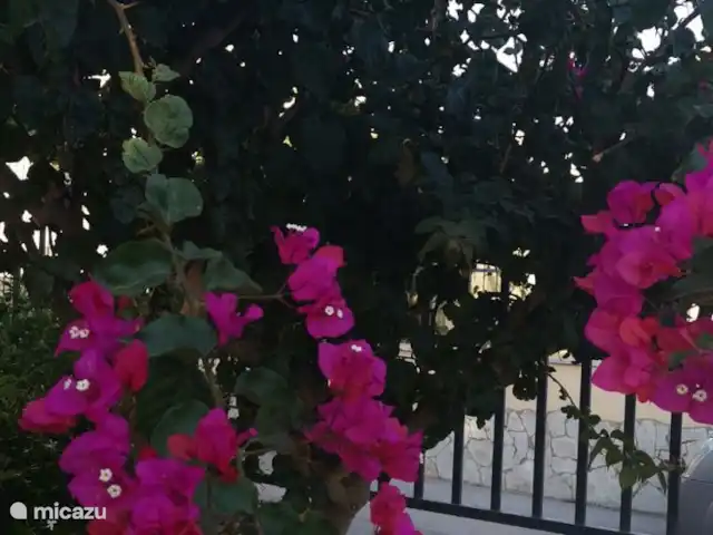 Elabarcava.it kopen in Italië, Sicilië, Mazara Del Vallo - bungalow