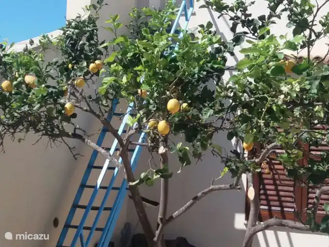 Elabarcava.it kopen in Italië, Sicilië, Mazara Del Vallo - bungalow