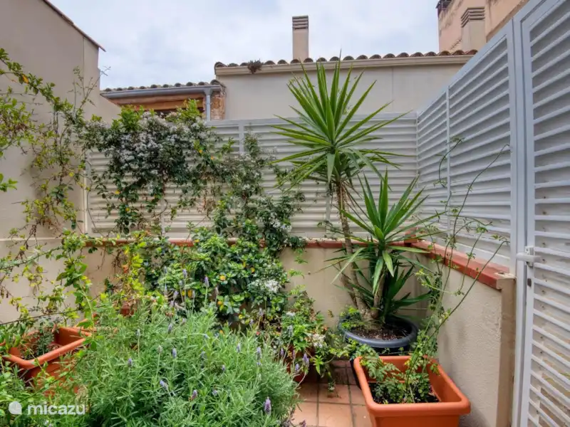 Acheter une location de vacances Espagne, Costa Brava, Sant Feliu de Guíxols – maison mitoyenne Maison à 3 étages Acheter une location de vacances Espagne, Costa Brava, Sant Feliu de Guíxols – maison mitoyenne Maison à 3 étages