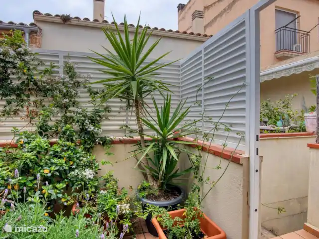Acheter une maison mitoyenne | Espagne, Costa Brava, Sant Feliu de Guíxols - Maison à 3 étages