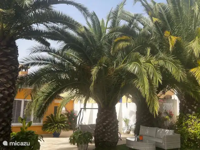 Acheter une villa | Espagne, Costa Brava, Santa Cristina d'Aro - Villa à vendre à Mas Trempat