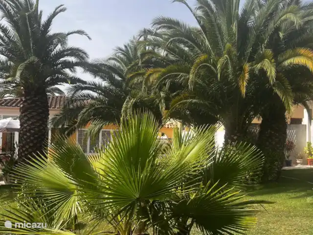 Acheter une villa | Espagne, Costa Brava, Santa Cristina d'Aro - Villa à vendre à Mas Trempat