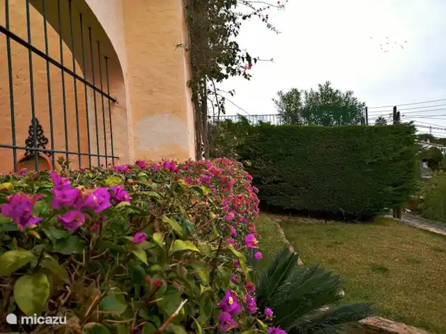 Acheter une villa | Espagne, Costa Brava, Castell d'Aro - Maison vue mer avec grand terrain