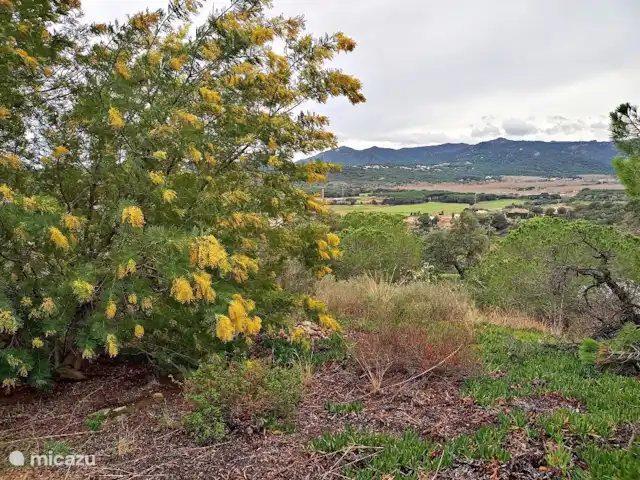 Acheter une villa | Espagne, Costa Brava, Castell d'Aro - Maison vue mer avec grand terrain