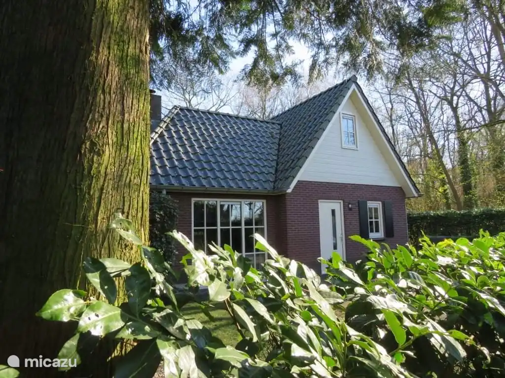 vakantiehuis kopen in Harderwijk, Gelderland, Nederland – Huizeboschlust Veluwe 