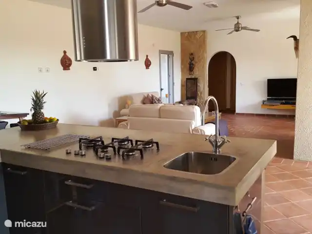 Villa met verhuur kopen in Portugal, Algarve, Santo Estevao - villa