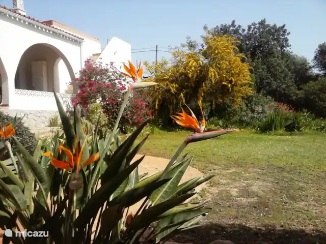 Villa met verhuur kopen in Portugal, Algarve, Santo Estevao - villa