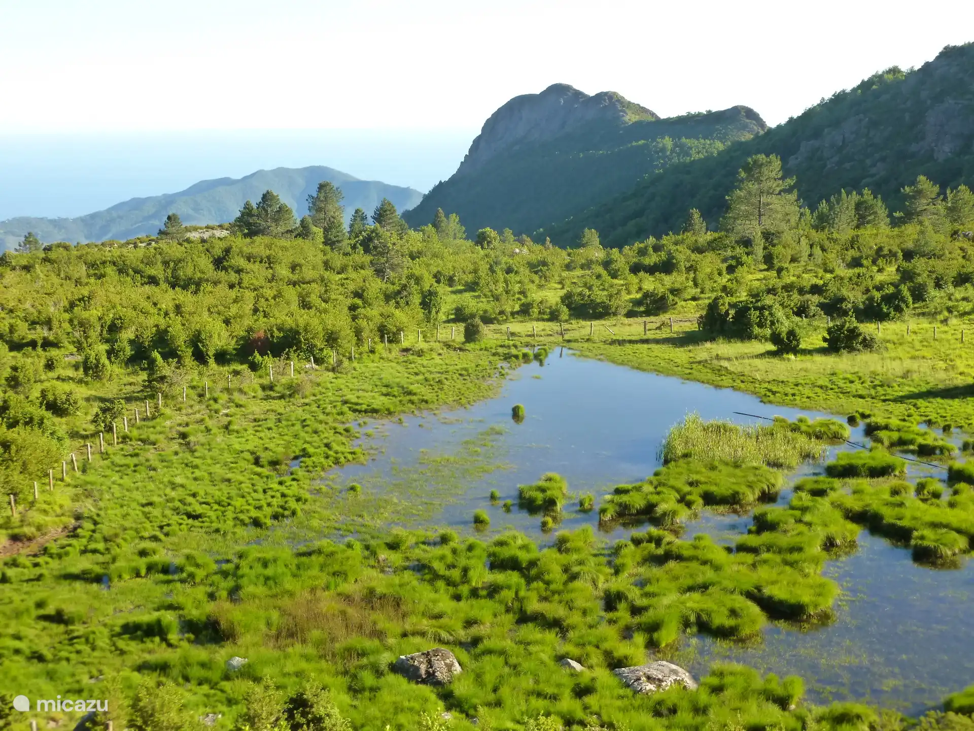 in der Nähe von „Passo di Bocco“