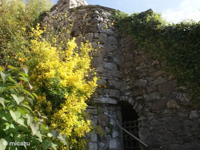 Acheter une maison de vacances | Italie, Ligurie, Santa Maria di Maissana - UltimaCasa partie du jardin avec mur authentique