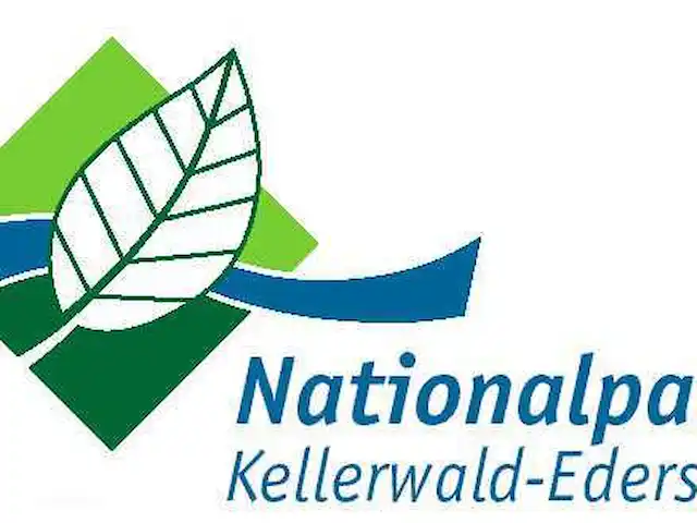 Sauerland-Hasewinkel kopen in Duitsland, Sauerland, Frankenau - bungalow