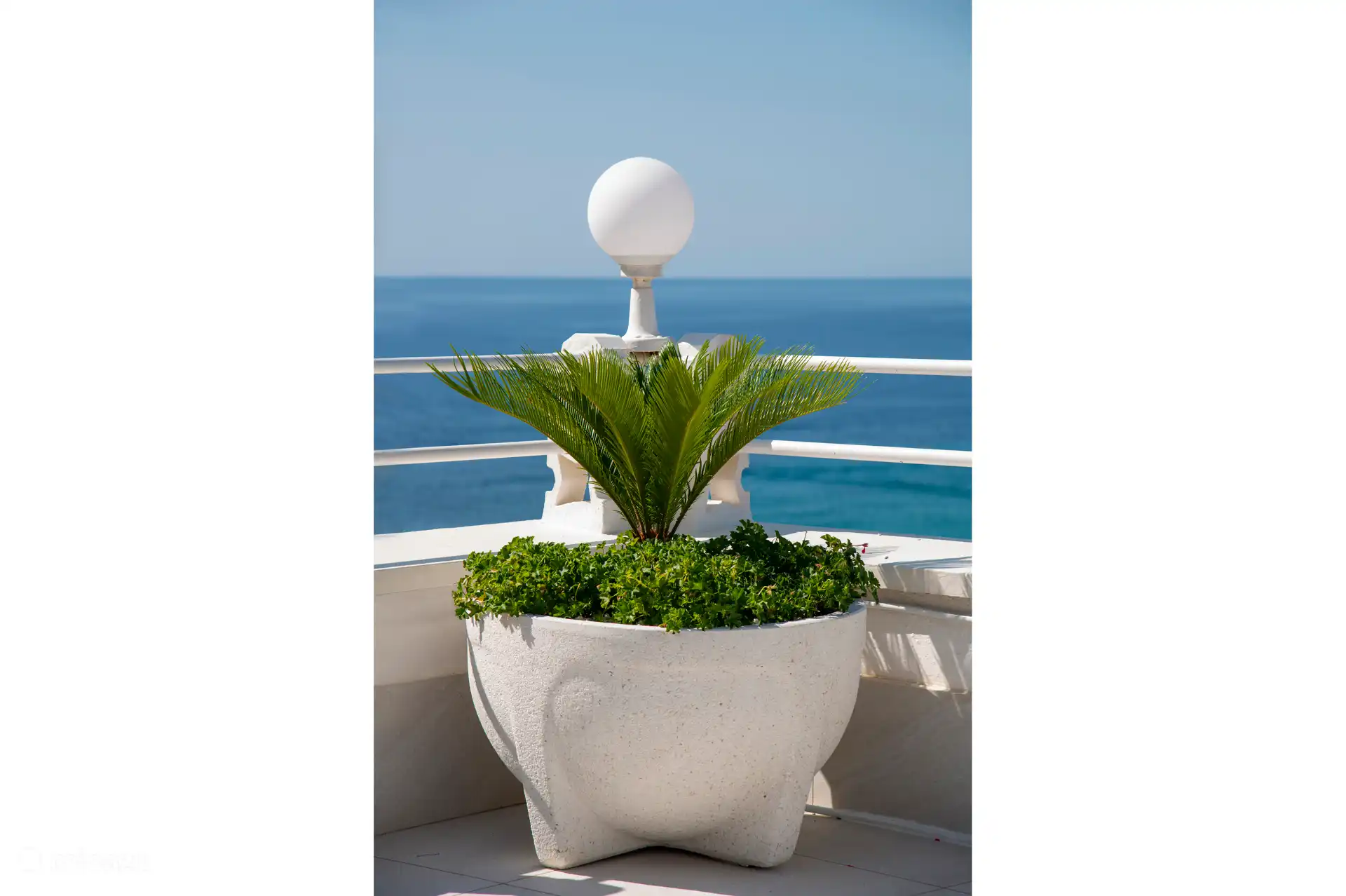 Detail Blumenkästen mit Palme auf der hinteren Terrasse