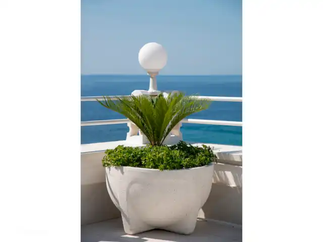 Acheter une penthouse | Espagne, Costa Blanca, Benidorm - Penthouse de luxe en bord de mer 2x terrasse sur le toit Détail des bacs à fleurs avec palmier sur la terrasse arrière