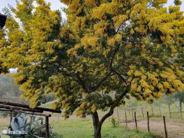 Comprar una casa vacacional en Italia, Campania, San Giovanni a Piro - Casa de vacaciones Scatolina