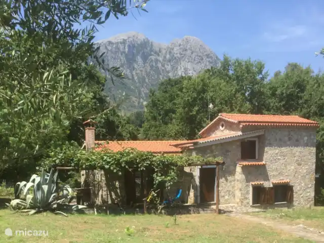 Comprar una casa vacacional en Italia, Campania, San Giovanni a Piro - Casa de vacaciones Scatolina  Comprar una casa vacacional en Italia, Campania, San Giovanni a Piro - Casa de vacaciones Scatolina