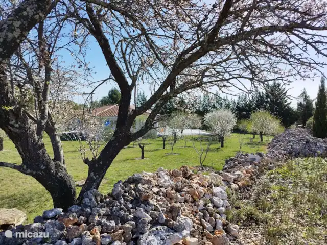 Acheter une villa | France, Hérault, Assignan - Villa moderne avec potentiel locatif