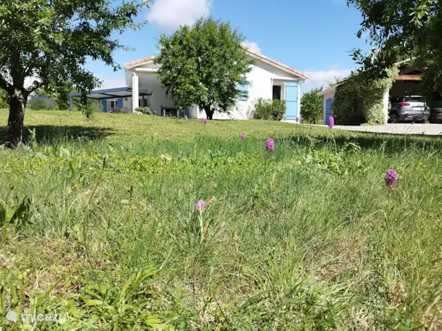 Acheter une villa | France, Hérault, Assignan - Villa moderne avec potentiel locatif