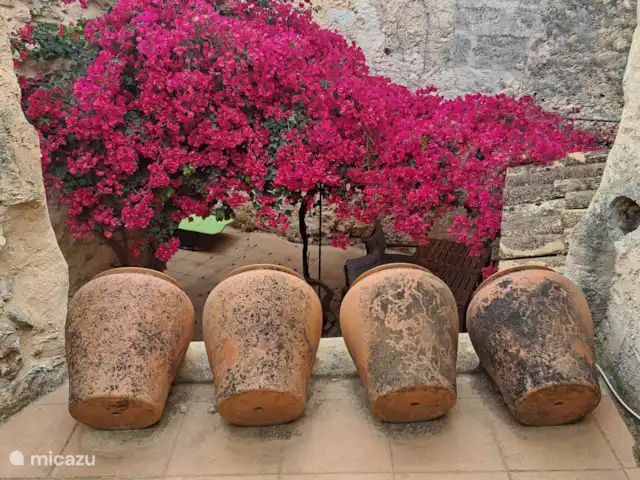 Huis in rustiek dorp  in Mallorca kopen in Spanje, Mallorca, Inca - stadswoning