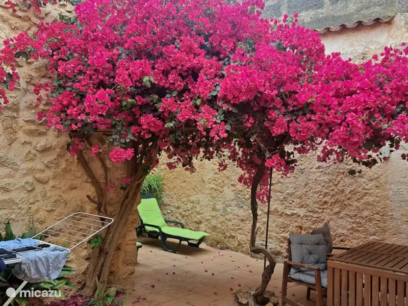 Comprar una vivienda urbana en España, Mallorca, Inca – Casa en pueblo rústico en Mallorca Comprar una vivienda urbana en España, Mallorca, Inca – Casa en pueblo rústico en Mallorca