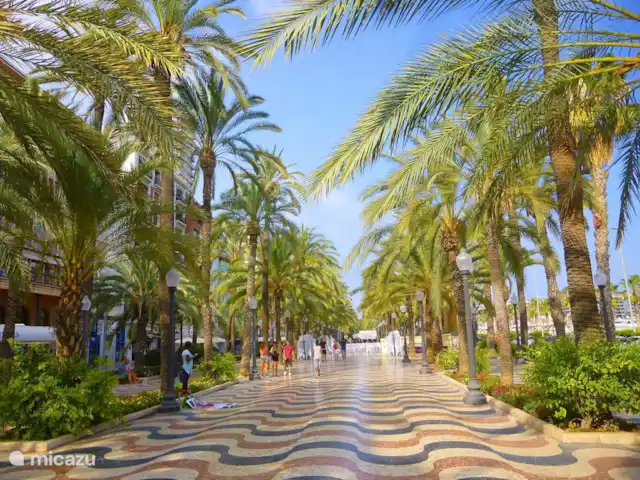 Acheter une maison de vacances | Espagne, Costa Blanca, El Campello - Résidence de luxe Bernia