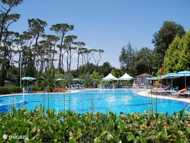 Acheter une mobil-home | Italie, Ligurie, Ameglia - A vendre 2 chalets à louer Italie