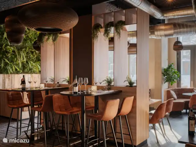 Castellum Penthouse Prestige kopen in Nederland, Limburg, Maastricht - penthouse