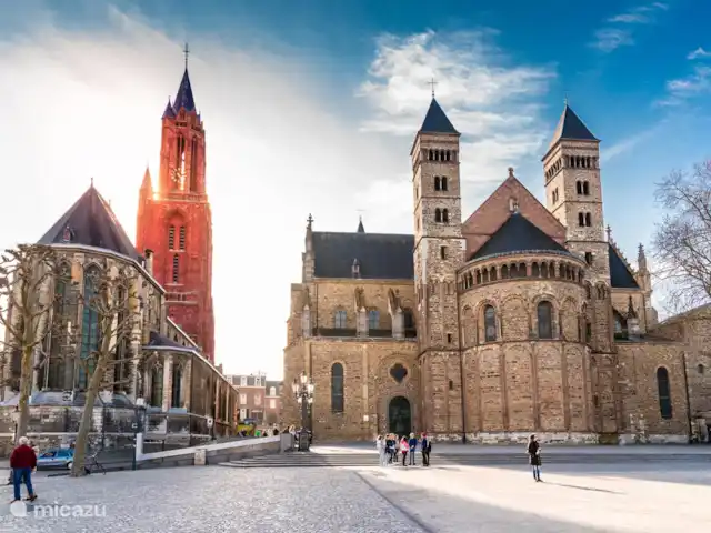 Castellum Penthouse Prestige kopen in Nederland, Limburg, Maastricht - penthouse