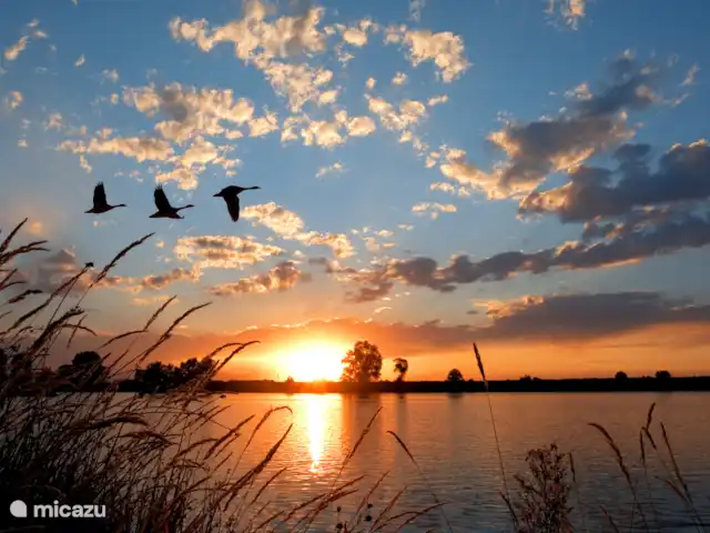 Comprar una casa vacacional en Países Bajos, Holanda del Norte, Medemblik - Casa de vacaciones independiente Botter